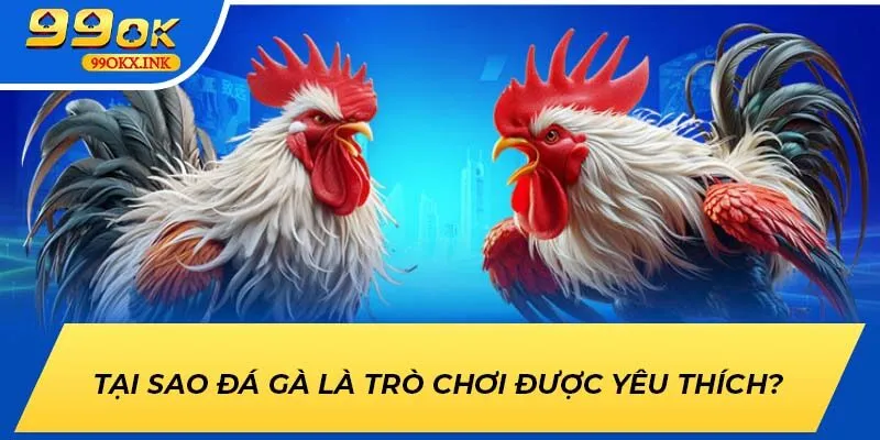 Tại sao đá gà 99OK là trò chơi được yêu thích?